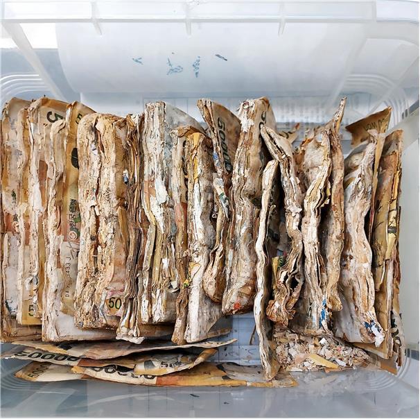 [서울=뉴시스]습기로 손상된 은행권 사진.(사진= 한국은행 제공)2023.01.17 photo@newsis.com *재판매 및 DB 금지