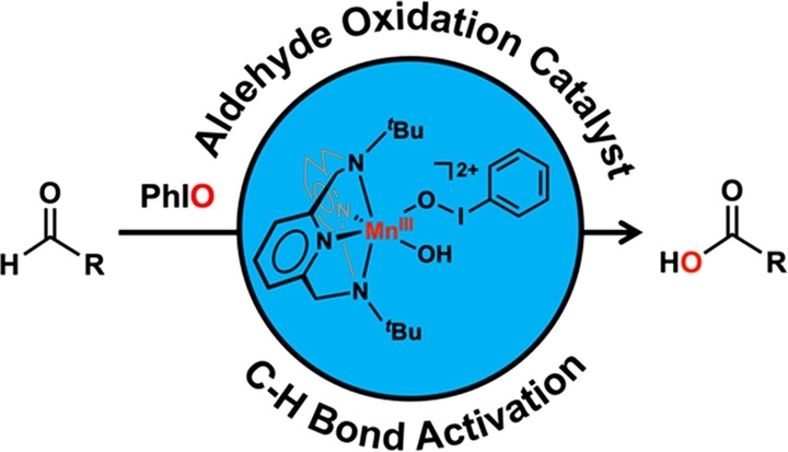 [울산=뉴시스] 구미현 기자 = UNIST(울산과학기술원)는 화학과 조재흥 교수팀이 금속-활성산소 종의 하나인 ‘망간-요오드실벤젠 종’이 유독성의 알데히드 화합물을 카복실산으로 산화시키는 것과 이 반응이 새로운 친전자성 메커니즘에 따른 것이라는 점을 규명했다고 19일 밝혔다. 망간-요오드실벤젠 종의 알데히드 산화 반응 도식을 나타낸 연구그림. 2023.01.19. (사진=UNIST 제공) *재판매 및 DB 금지