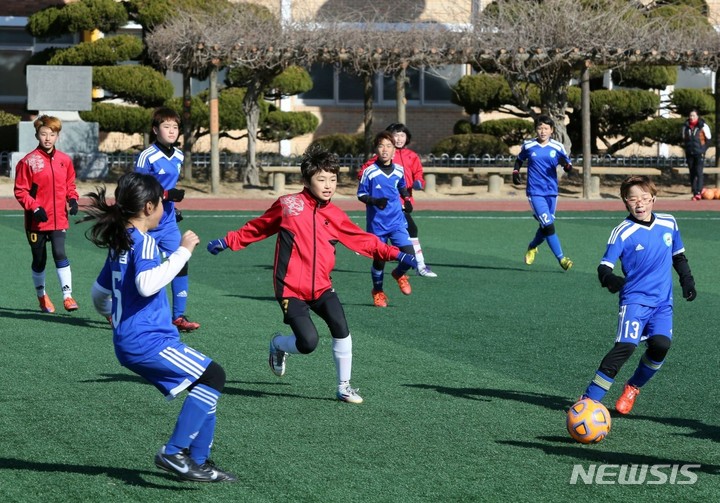 장흥군, 유소년 축구 동계 전지훈련장 `각광'…24개팀 505명 방문