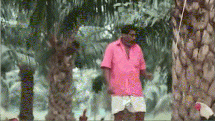 [서울=뉴시스] 두 인도 남성이 투계용 닭을 싸움붙이고 있다. 인도에서 투계는 1960년부터 금지됐지만, 지금도 매년 마카르 산크라티 기간이 찾아오면 불법 투계판이 성행한다 (사진출처: 타임스 오브 인디아 영상 캡처) 2023.01.19. *재판매 및 DB 금지