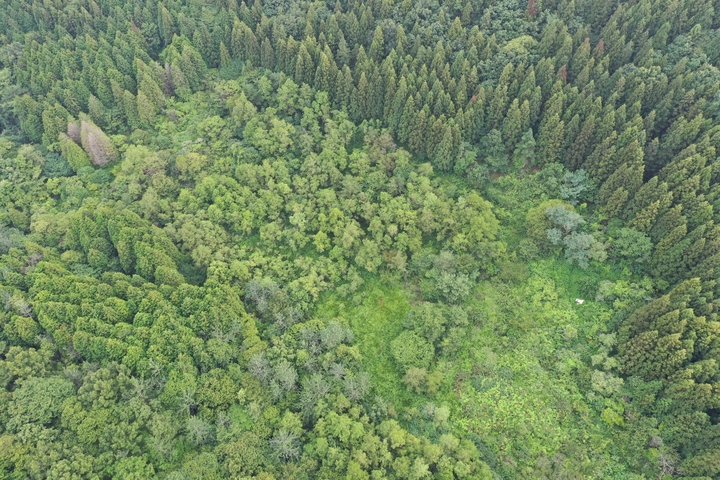 와룡 산지습지 *재판매 및 DB 금지