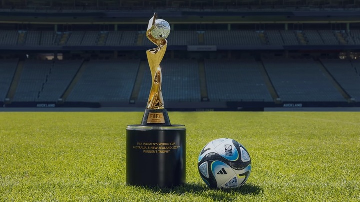 [서울=뉴시스]2023 FIFA 여자 월드컵 공인구. 2023.01.25. (사진=FIFA 누리집 갈무리) *재판매 및 DB 금지