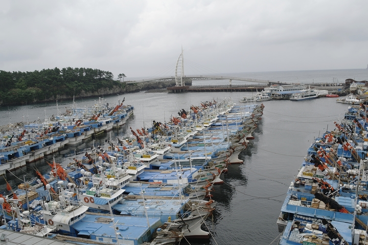[제주=뉴시스] 서귀포항에 정박한 어선들. (사진=제주도 제공) *재판매 및 DB 금지