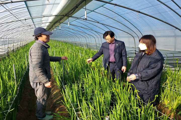서천군농업기술센터가 최강한파가 지속됨에 따라 농작물 피해 예방을 위한 현장대응반을 가동했다. 2023. 01. 27 서천군 *재판매 및 DB 금지