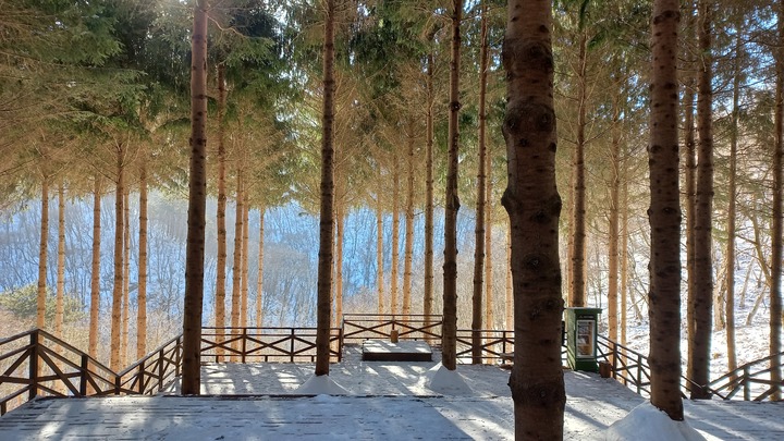 강원 평창 애니포레. 박주연 기자 photo@newsis.com *재판매 및 DB 금지