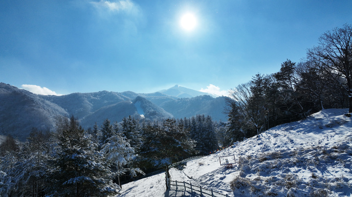 강원 평창 애니포레. (사진= 모나파트 용평리조트 제공) photo@newsis.com *재판매 및 DB 금지