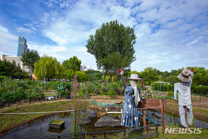 [서울=뉴시스]서울시 중부공원여가센터는 다음 달 1일부터 용산가족공원 내 자리한 텃밭을 가꿔나갈 참여자를 모집한다고 30일 밝혔다. (사진=서울시 제공). 2023.01.30. photo@newsis.com
