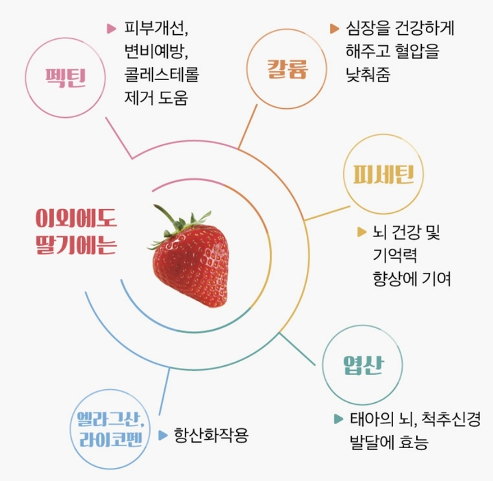 [서울=뉴시스] 29일 식품의약품안전처와 유통업계에 따르면 12월부터 2월 사이에 딸기는 가장 높은 당도를 보여준다. 사진은 딸기에 함유된 영양소. (사진=식품의약품안전처 제공) *재판매 및 DB 금지