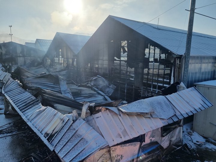 [장성=뉴시스] 이영주 기자 = 30일 전남 장성소방서에 따르면 전날 오전 7시 57분께 장성군 황룡면 한 파프리카 재배 온실에서 불이 나 소방 당국에 의해 53분 만에 꺼졌다. (사진 = 전남 장성소방서 제공) 2023.01.30. photo@newsis.com *재판매 및 DB 금지