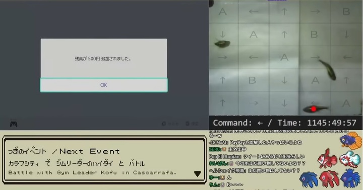 [서울=뉴시스] 일본의 유튜버 '무테키마루'가 키우는 반려 물고기가 주인의 닌텐도 스위치로 500엔(약 4700원)을 결제한 모습, 수조에 부착한 동작 감지 센서가 물고기들의 움직임을 포착해 기기를 조작한다 (사진출처: 무테키마루 유튜브 영상 캡처) 2023.01.30. *재판매 및 DB 금지