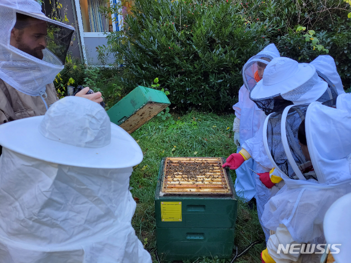 꿀벌을 키우며 기후와 환경을 체험하는 독일 함부르크 율리우스 레버 학교 학생들. (사진=제주CBS 제공)