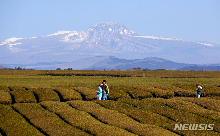 [서귀포=뉴시스] 우장호 기자 = 추위가 물러가고 맑은 날씨를 보이는 지난달 31일 오후 제주 서귀포시 안덕면 녹차밭을 찾은 관광객들이 눈덮힌 한라산을 감상하며 즐거운 시간을 보내고 있다. 2023.01.31. woo1223@newsis.com