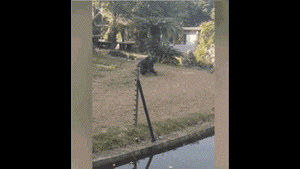 [서울=뉴시스] 한 소녀가 중국 난닝 동물원에서 침팬지를 촬영하다 침팬지가 던진 생수병에 직격당했다. (사진출처: 데일리메일 영상 캡처) 2023.02.01. *재판매 및 DB 금지