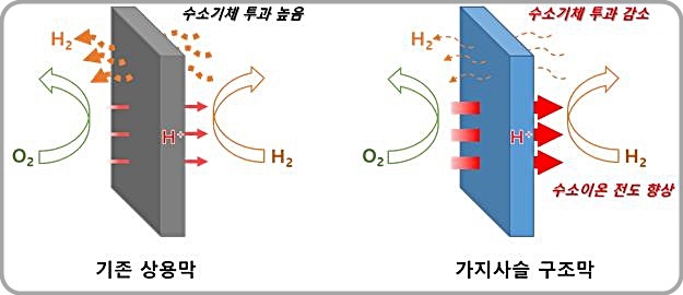 [대전=뉴시스] 가지사슬 구조 전해질막의 우수성. 화학연 공동연구팀이 개발한 전해질막(오른쪽)은 기존 상용막(왼쪽)과 비교해 80℃에서 1.6배 이상 향상된 수소 이온 전도도와 3분의 1 수준의 낮은 수소 기체 투과율을 보인다. *재판매 및 DB 금지