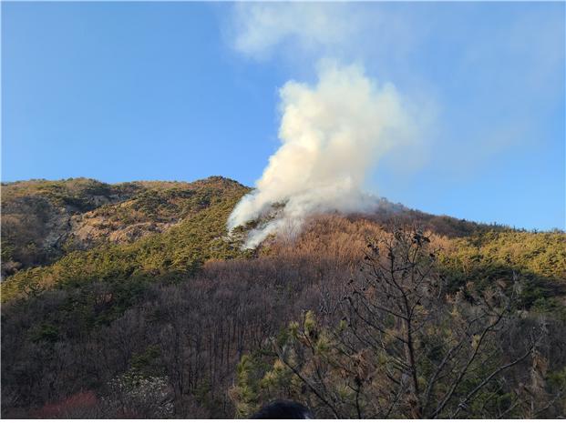 [대전=뉴시스] 대전 유성 산불 모습. *재판매 및 DB 금지