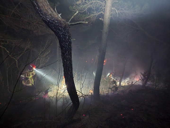 [울진=뉴시스] 1일 오후 10시32분께 경북 울진군 기성면 정명리 산 151 일대에서 산불이 발생해 1시간57분만에 진화됐다. (사진 = 경북소방본부 제공) 2023.02.02. photo@newsis.com *재판매 및 DB 금지