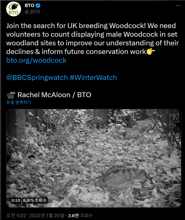 [서울=뉴시스] 영국 조류학 협회는 멧도요 관련 트윗을 작성한 이후 트위터로부터 제재당했다 (사진출처: BTQ 트위터 캡처) 2023.02.02. *재판매 및 DB 금지