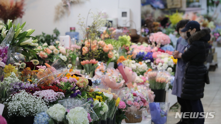 [서울=뉴시스] 김금보 기자 = 졸업·입학식 기간이 시작된 지난 2023년 2월 2일 서울 양재 꽃시장에서 손님들이 선물용 꽃을 살펴보고 있다. (사진은 기사와 직접 관련이 없습니다.) 2026.04.22. kgb@newsis.com