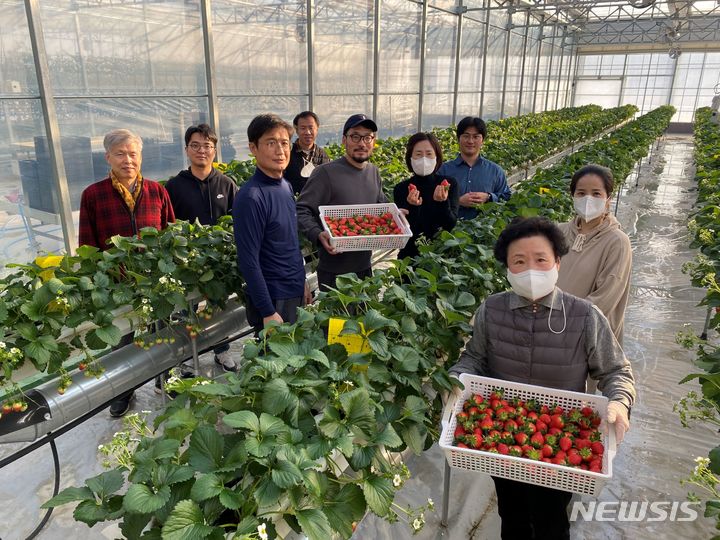 [용인=뉴시스] 용인시 스마트팜 식물공장