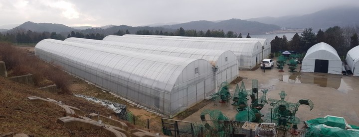 청남대 육묘장 *재판매 및 DB 금지