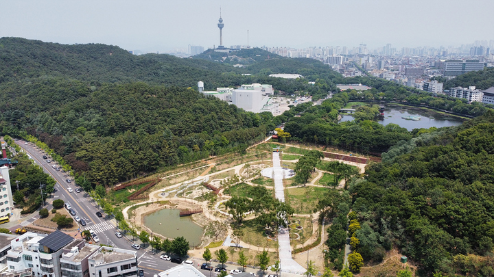[대구=뉴시스]대구시 달서구 두류공원 일대에 조성된 대구 대표 도시숲 전경(사진=대구시 제공) 2023.02.05 photo@newsis.com *재판매 및 DB 금지