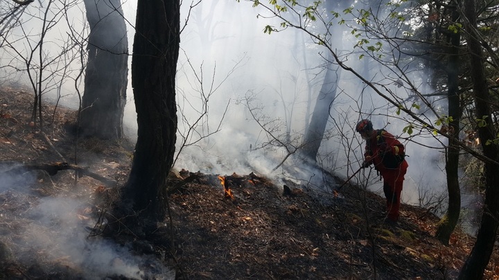 산불 (사진=뉴시스 DB) *재판매 및 DB 금지