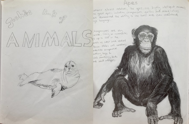 [서울=뉴시스] 영국의 한 남성이 9살 때부터 20년에 걸쳐 모든 살아있는 생물에 관한 백과사전을 손으로 써서 완성했다고 5일(현지시간) 가디언이 보도했다. <출처 : Josh Gabbatiss 트위터 캡처> 2023.02.06. *재판매 및 DB 금지