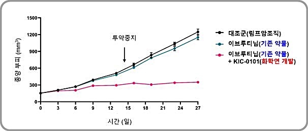 [대전=뉴시스] 림프암에서의 치료효과. 림프암을 이식한 동물모델에 이부루티닙 단독 투여 시(하늘색 그래프) 동물에 이식한 종양크기가 현저히 감소하지 않았으나 이브루티닙과 화학연 개발물질을 동시에 병용투여 하면(자주색 그래프) 크기가 효과적으로 감소했다. *재판매 및 DB 금지