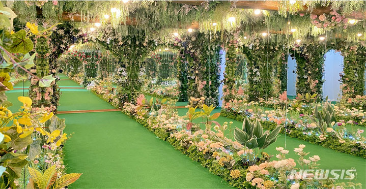 김해가야테마파크 시크릿꽃채