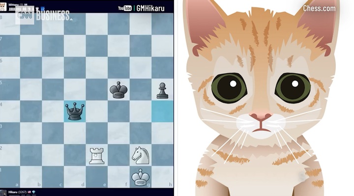 [서울=뉴시스] 전 세계에서 가장 많은 회원 수를 보유하고 있는 국제 체스 사이트 '체스 닷컴'이 '고양이 체스 봇'인 '미튼스'를 선보였다 (사진출처: CNN 영상 캡처) 2023.02.08. *재판매 및 DB 금지
