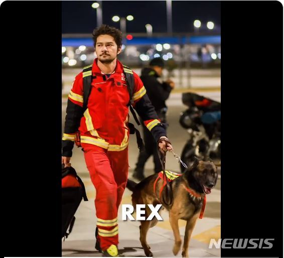 [서울=뉴시스] 멕시코 정부는 7일(현지시간) 대지진이 발생한 튀르키예를 지원하기 위해 고도로 훈련된 전문 수색 구조견 16마리를 파견했다. 사진은 마르셀로 에브라르드 멕시코 외무장관이 트위터에 게시한 영상을 갈무리한 것이다. 2023.02.08.