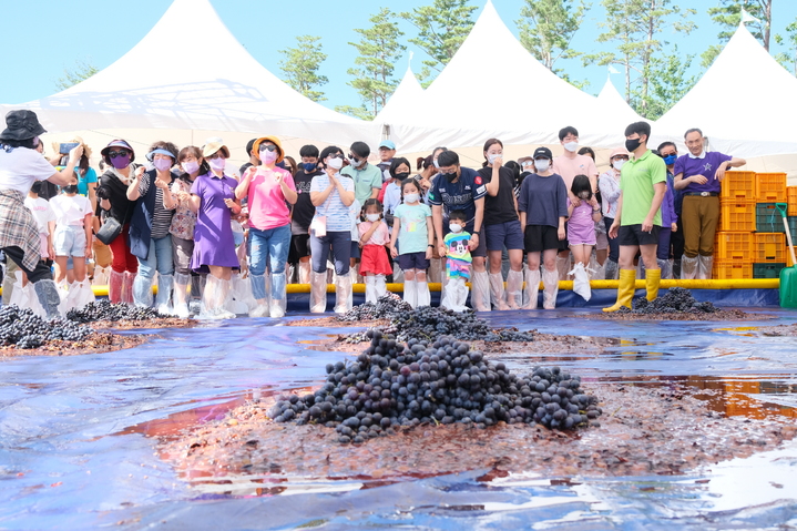[영동=뉴시스] 영동포도축제 포도밟기 체험 *재판매 및 DB 금지