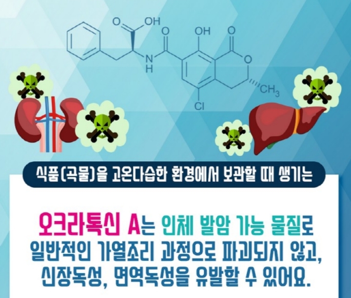 [서울=뉴시스]10일 식품의약품안전처에 따르면 최근 수입식품 비중이 늘면서 오크라톡신 A 안전 기준치를 초과하는 제품이 종종 적발되고 있다. 사진은 오크라톡신 A의 위험성을 경고하는 내용. (사진=식약처 제공) *재판매 및 DB 금지