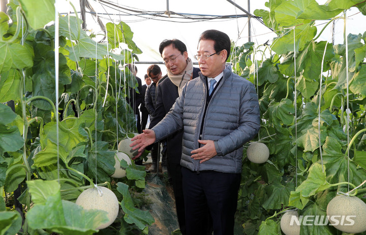 [나주=뉴시스] 이창우 기자=김영록 전남도지사(맨 앞)와 윤병태 나주시장이 10일 오후 나주시 세지면 동곡리 멜론 재배 농가를 방문, 멜론을 살펴보고 있다. (사진=전남도 제공) 2023.02.10. photo@newsis.com *재판매 및 DB 금지