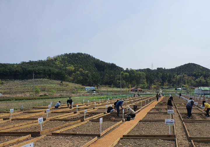 [진주=뉴시스] 진주시, 2023년 시민텃밭 분양 신청 접수. *재판매 및 DB 금지