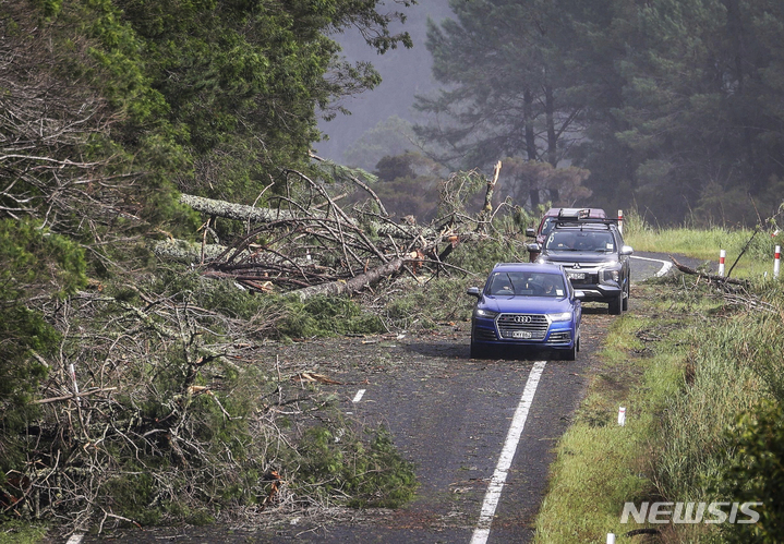 [오클랜드=AP/뉴시스] 뉴질랜드 오클랜드 동부 쿡스 해변도로에 14일(현지시간) 나무가 넘어져 자동차들이 피해 지나가고 있다.뉴질랜드 정부는 사이클론 '가브리엘'이 강타한 북섬 전역에 비상사태를 선포했다. 2023.02.14.