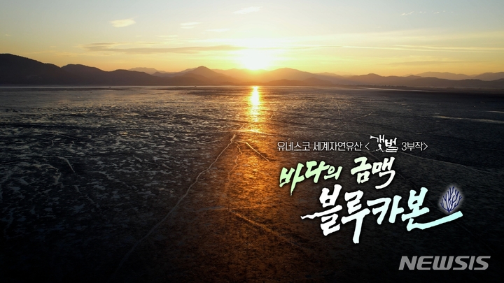 [서울=뉴시스] KBS 1TV 'UHD 환경스페셜2'의 '유네스코 세계자연유산 갯벌' 3부작 방송 화면. (사진=방송통신심의위원회 제공) 2023.02.16. photo@newsis.com *재판매 및 DB 금지