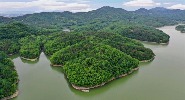 [음성=뉴시스] 맹동 치유의 숲 조성 예정지. (사진=음성군 제공) photo@newsis.com *재판매 및 DB 금지