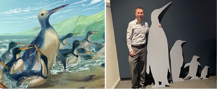 [서울=뉴시스] 몸무게가 약 160㎏에 달했을 것으로 추정되는 쿠미마누 포르디케이의 복원도와 인간과의 사이즈 비교 모형 (사진출처: 브루스 박물관) 2023.02.17. *재판매 및 DB 금지