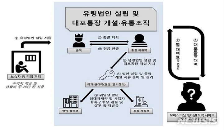 [서울=뉴시스]유령법인 명의 대포통장 유통 조직 활동 체계.2023.02.19.(사진=서울경찰청 제공)photo@newsis.com