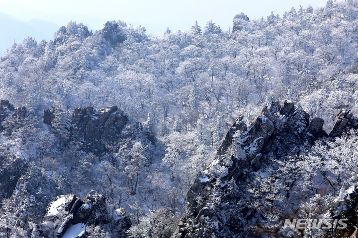 쇼핑 후 북한산으로...'K-등산' 빠진 외국인들, 작년 국립공원 87만 찾았... - 뉴스 썸네일 이미지