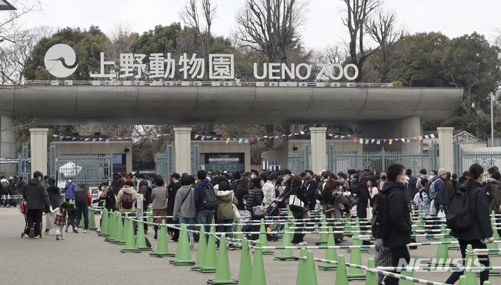 [도쿄=AP·교도/뉴시스]지난 19일 일본 도쿄 우에노동물원 앞에서 관람객들이 줄을 서 기다리고 있다. 관람객들이 자이언트 판다 샹샹의 중국 반환을 앞두고 샹샹을 만나기 위해 줄을 서 기다리고 있다. 2023.02.21.