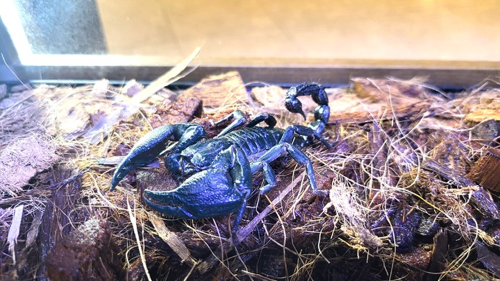 [서울=뉴시스] 사진은 기사 내용과 관련 없음.(사진=뉴시스 DB) *재판매 및 DB 금지