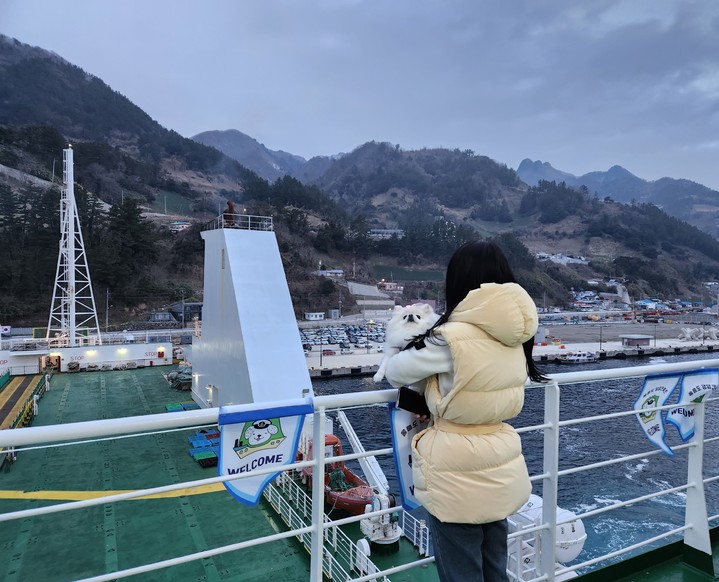 한국관광공사가 지난 18~19일 운영한 반려견 동반여행 시범상품 '울릉도 댕댕크루즈'에는 반려인 70명과 반려견 46마리가 참가했다. (사진=한국관광공사 제공) photo@newsis.com *재판매 및 DB 금지