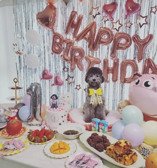 [서울=뉴시스] 박군, 한영 부부의 반려견 2023.02.20 (사진=SNS) photo@newsis.com 	&nbsp; *재판매 및 DB 금지