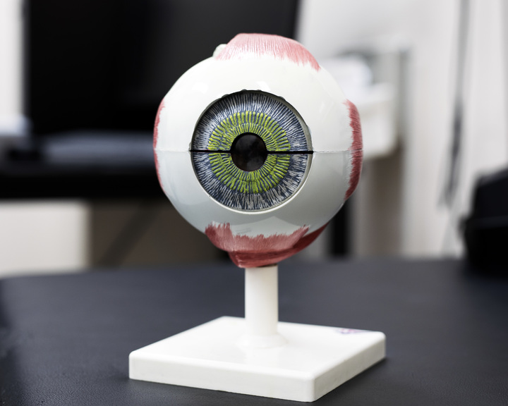 "눈에도 청춘을"...초고령화 대응 안과 치료제 개발 '봇물' - 뉴스 썸네일 이미지