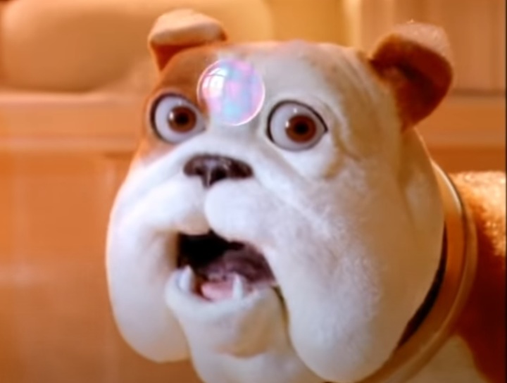 [서울=뉴시스] 텔레비전 광고에 등장한 마스코트 캐릭터 '처칠'의 모습, 국제 동물 보호단체 페타(PETA)는 처칠과 같은 단두종 개 캐릭터가 단두종 개에 대한 잘못된 인식을 심는다며 처칠의 은퇴를 요구했다 (사진출처: 유튜브 영상 캡처) 2023.02.27. *재판매 및 DB 금지