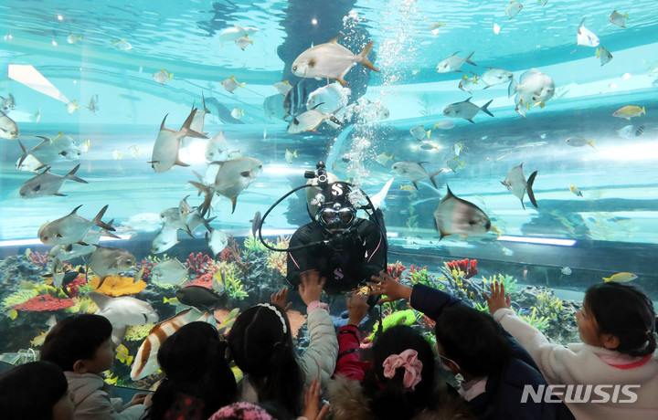 [부산=뉴시스] 하경민 기자 = 국립해양박물관은 수족관 전시환경 개편 공사를 마치고 오는 28일부터 관람객들을 맞이한다고 밝혔다. 27일 부산 영도구 해양박물관을 찾은 어린이들이 다이버의 먹이주기쇼를 관람하고 있다. 2023.02.27. yulnetphoto@newsis.com