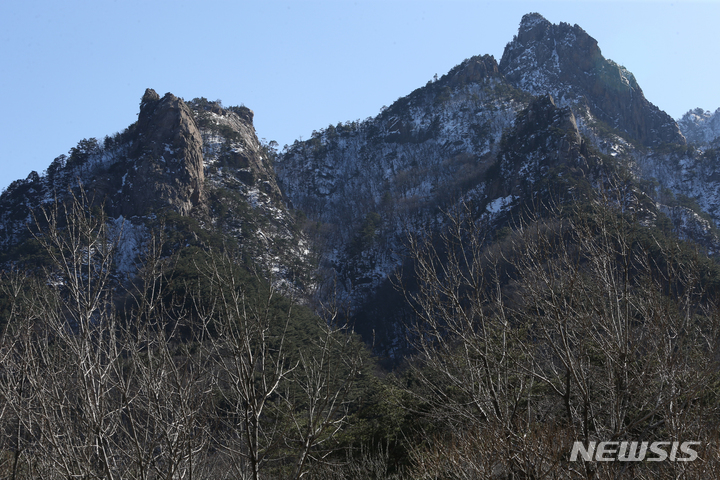 강원산림과학연구원 올해 산림사업에 52억 투입