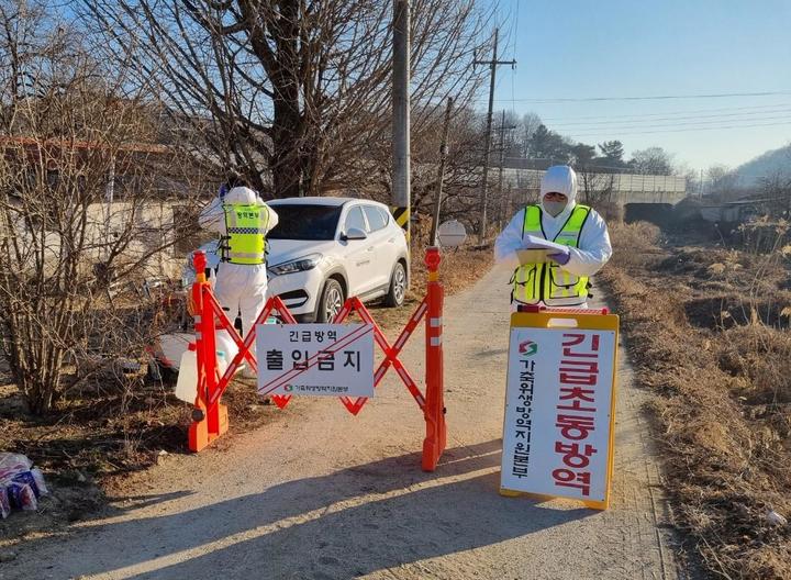 [안동=뉴시스] 고병원성 조류인플루엔자(AI) 의사환축이 발생. (사진=경북도 제공) 2023.02.28  *재판매 및 DB 금지